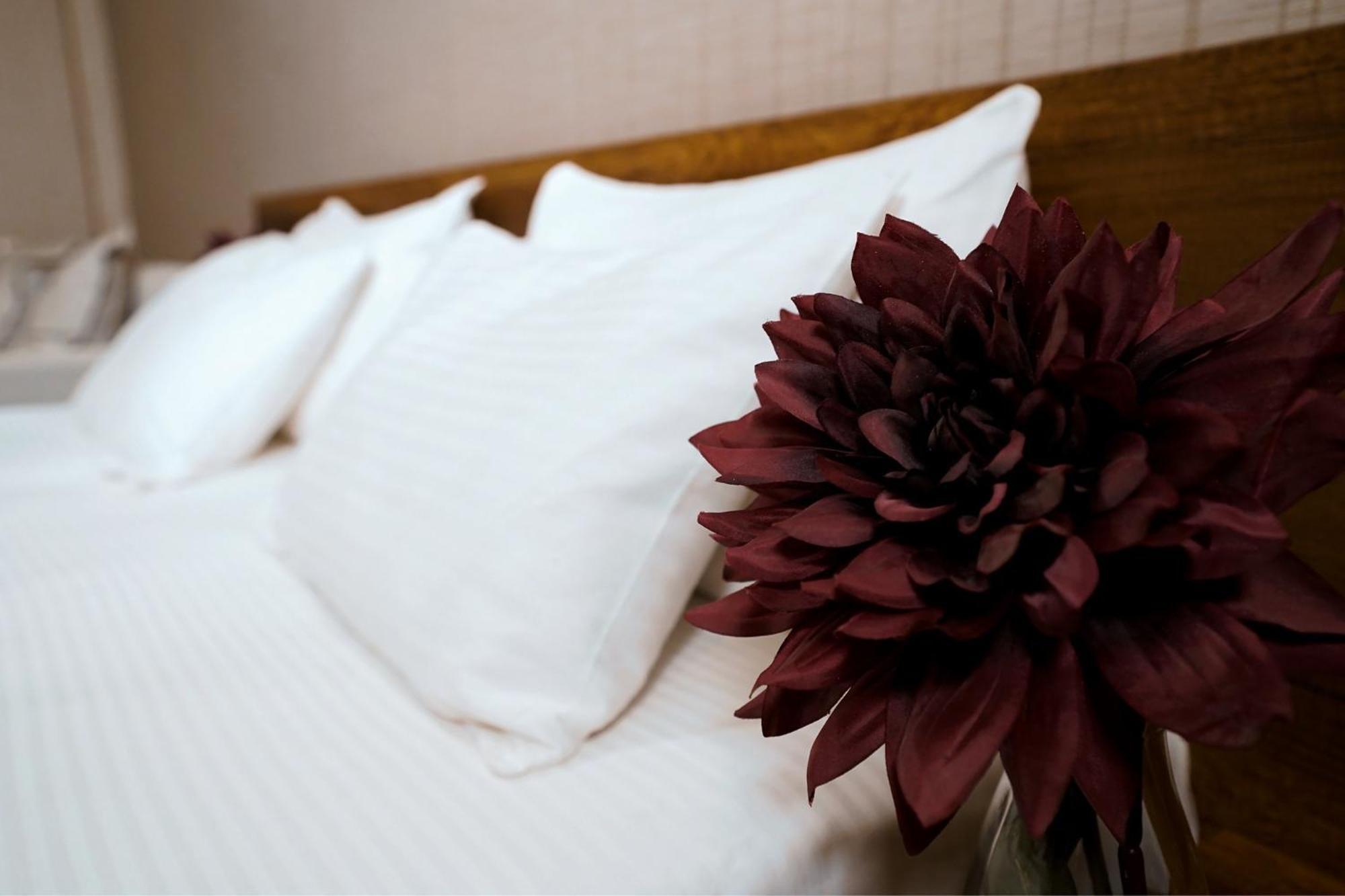 Loft Hotel Bakuriani Dış mekan fotoğraf